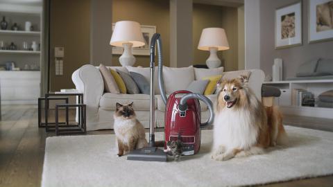 Miele - Cat and Dog
